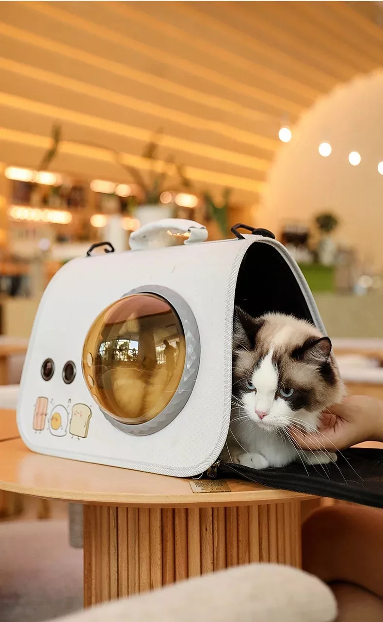 Cat Carrier Bag