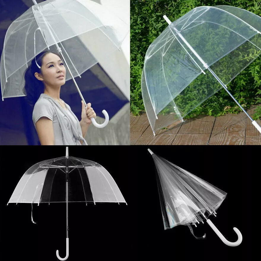 Transparent Umbrella